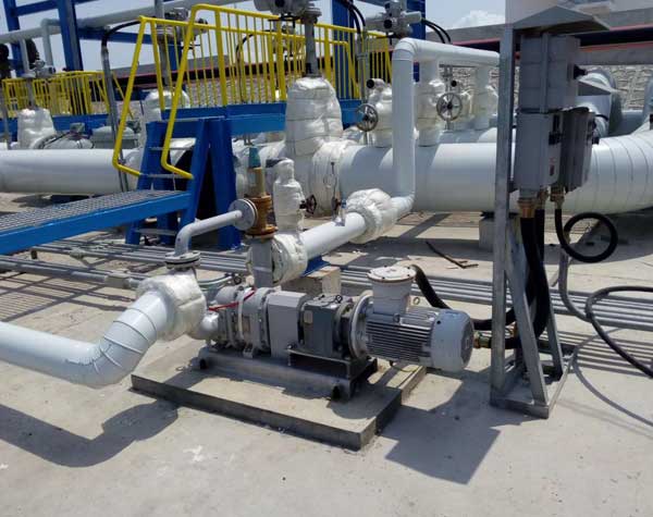 凸輪式轉(zhuǎn)子泵維護(hù)要點(diǎn) 凸輪式轉(zhuǎn)子泵維護(hù)要點(diǎn)