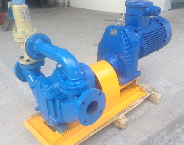 無堵塞轉(zhuǎn)子泵