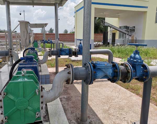 螺桿泵與轉(zhuǎn)子泵