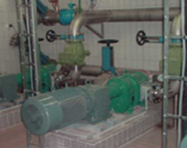 剩余污泥轉(zhuǎn)子泵 剩余污泥轉(zhuǎn)子泵